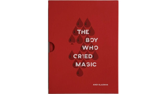 The Boy Who Cried Magic by Andi Gladwin The Boy Who Cried Magic by Andi Gladwin