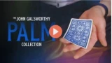 The Galsworthy Palm Collection by John Galsworthy