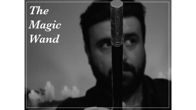 The Magic Wand by Luke Jermay
