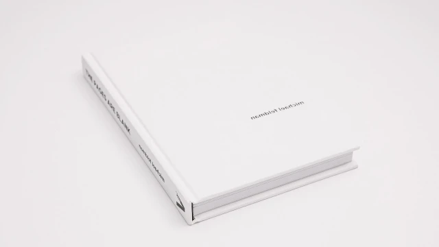 The Pages Are Blank by Michael Feldman
