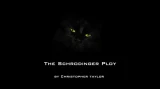 The Schrodinger Ploy by Christopher Taylor