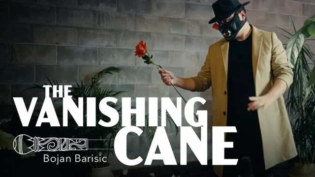 The Vanishing Cane by Bojan Barisic