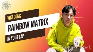 The Vault - Rainbow Matrix On Lap by Viki Gong