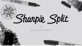 The Vault - Sharpie Split by Brice Bergman The Vault - Sharpie Split by Brice Bergman