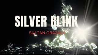 The Vault - Silver Blink by Sultan Orazaly