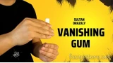 The Vault - Vanishing Gum by Sultan Orazaly
