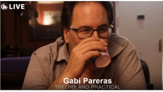 Theory And Practical by Gabi Pareras
