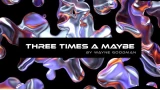 Three times a Maybe by Wayne Goodman