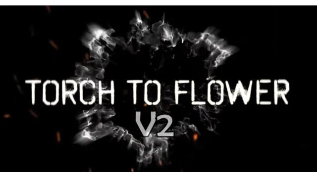 Torch to Flower V2 by Imaying