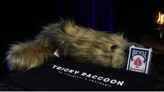 Tricky Raccoon by Liang Kuai & Amor Magic Tricky Raccoon by Liang Kuai & Amor Magic