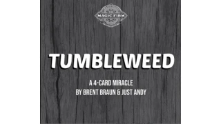 Tumbleweed by Brent Braun And Andy Glass