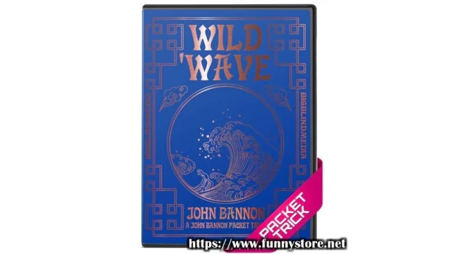 Wild Wave (Blackpool 2023) by John Bannon