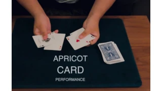 Apricot Card by Keito K