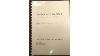 Hidden In Plain Sight by Tony Brook